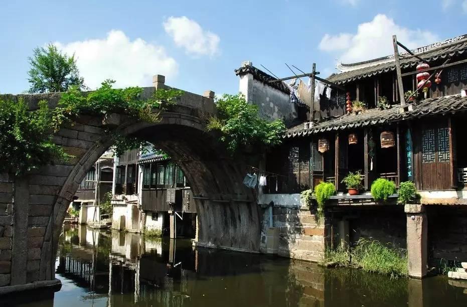 建立重大病虫害精准预测系统 为小麦抗病开良方